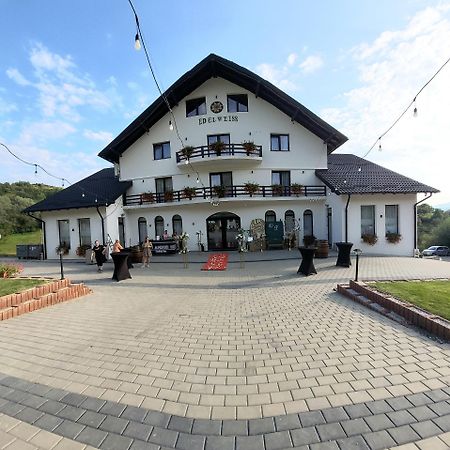 Hotel Evenimente Edelweiss Bogdan Vodă Esterno foto