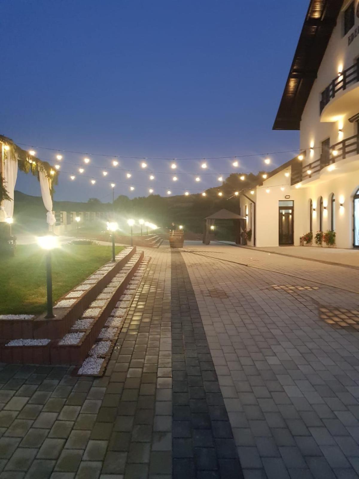 Hotel Evenimente Edelweiss Bogdan Vodă Esterno foto